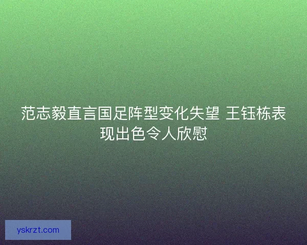 范志毅直言国足阵型变化失望 王钰栋表现出色令人欣慰